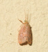  ( - YB-BCI188690)  @11 [ ] No Rights Reserved  Unspecified Unspecified