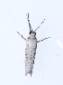  ( - YB-BCI189626)  @11 [ ] No Rights Reserved  Unspecified Unspecified