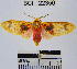  ( - YB-BCI22350)  @14 [ ] No Rights Reserved  Unspecified Unspecified