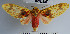  ( - YB-BCI32870)  @14 [ ] No Rights Reserved  Unspecified Unspecified