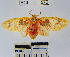 ( - YB-BCI576)  @14 [ ] No Rights Reserved  Unspecified Unspecified