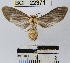  ( - YB-BCI22371)  @13 [ ] No Rights Reserved  Unspecified Unspecified