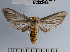 ( - YB-BCI32464)  @13 [ ] No Rights Reserved  Unspecified Unspecified