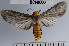  ( - YB-BCI48303)  @13 [ ] No Rights Reserved  Unspecified Unspecified