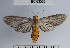  ( - YB-BCI63505)  @14 [ ] No Rights Reserved  Unspecified Unspecified