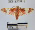  ( - YB-BCI23108)  @13 [ ] No Rights Reserved  Unspecified Unspecified