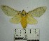  ( - YB-BCI172008)  @11 [ ] No Rights Reserved  Unspecified Unspecified