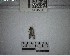  ( - YB-BCI185413)  @11 [ ] No Rights Reserved  Unspecified Unspecified