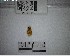  ( - YB-BCI191554)  @11 [ ] No Rights Reserved  Unspecified Unspecified