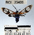  ( - YB-BCI23435)  @12 [ ] No Rights Reserved  Unspecified Unspecified