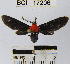  ( - YB-BCI17206)  @13 [ ] No Rights Reserved  Unspecified Unspecified