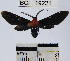  ( - YB-BCI19221)  @13 [ ] No Rights Reserved  Unspecified Unspecified