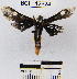  ( - YB-BCI12624)  @13 [ ] No Rights Reserved  Unspecified Unspecified