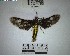  ( - YB-BCI184442)  @11 [ ] No Rights Reserved  Unspecified Unspecified