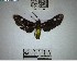  ( - YB-BCI192709)  @11 [ ] No Rights Reserved  Unspecified Unspecified