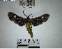  ( - YB-BCI193083)  @11 [ ] No Rights Reserved  Unspecified Unspecified