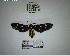  ( - YB-BCI193239)  @11 [ ] No Rights Reserved  Unspecified Unspecified