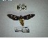  ( - YB-BCI193522)  @11 [ ] No Rights Reserved  Unspecified Unspecified