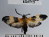  ( - YB-BCI62505)  @14 [ ] No Rights Reserved  Unspecified Unspecified