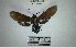  ( - YB-BCI194680)  @11 [ ] No Rights Reserved  Unspecified Unspecified
