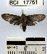  ( - YB-BCI17751)  @13 [ ] No Rights Reserved  Unspecified Unspecified