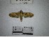  ( - YB-BCI182613)  @11 [ ] No Rights Reserved  Unspecified Unspecified