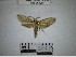  ( - YB-BCI184205)  @11 [ ] No Rights Reserved  Unspecified Unspecified