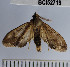  ( - YB-BCI52719)  @13 [ ] No Rights Reserved  Unspecified Unspecified