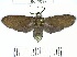  ( - YB-BCI79235)  @11 [ ] No Rights Reserved  Unspecified Unspecified