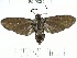  ( - YB-BCI79235)  @11 [ ] No Rights Reserved  Unspecified Unspecified