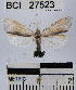  ( - YB-BCI27523)  @14 [ ] No Rights Reserved  Unspecified Unspecified