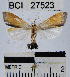  ( - YB-BCI27523)  @13 [ ] No Rights Reserved  Unspecified Unspecified
