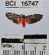  ( - YB-BCI16747)  @13 [ ] No Rights Reserved  Unspecified Unspecified