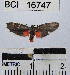  ( - YB-BCI16747)  @13 [ ] No Rights Reserved  Unspecified Unspecified