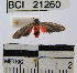  ( - YB-BCI21260)  @13 [ ] No Rights Reserved  Unspecified Unspecified