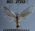  ( - YB-BCI27292.2)  @11 [ ] No Rights Reserved  Unspecified Unspecified