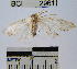  ( - YB-BCI2961)  @12 [ ] No Rights Reserved  Unspecified Unspecified