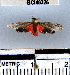  ( - YB-BCI48326)  @13 [ ] No Rights Reserved  Unspecified Unspecified