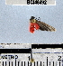 ( - YB-BCI48492)  @12 [ ] No Rights Reserved  Unspecified Unspecified
