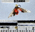 ( - YB-BCI48804)  @12 [ ] No Rights Reserved  Unspecified Unspecified