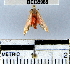  ( - YB-BCI35968)  @12 [ ] No Rights Reserved  Unspecified Unspecified