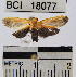  ( - YB-BCI18077)  @12 [ ] No Rights Reserved  Unspecified Unspecified