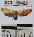  ( - YB-BCI18462)  @12 [ ] No Rights Reserved  Unspecified Unspecified
