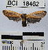  ( - YB-BCI18462)  @12 [ ] No Rights Reserved  Unspecified Unspecified