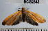  ( - YB-BCI32342)  @12 [ ] No Rights Reserved  Unspecified Unspecified