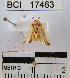  ( - YB-BCI17463)  @12 [ ] No Rights Reserved  Unspecified Unspecified