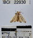  ( - YB-BCI22930)  @12 [ ] No Rights Reserved  Unspecified Unspecified