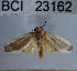  ( - YB-BCI23162)  @11 [ ] No Rights Reserved  Unspecified Unspecified