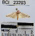  ( - YB-BCI23203)  @12 [ ] No Rights Reserved  Unspecified Unspecified