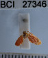 ( - YB-BCI27346)  @12 [ ] No Rights Reserved  Unspecified Unspecified